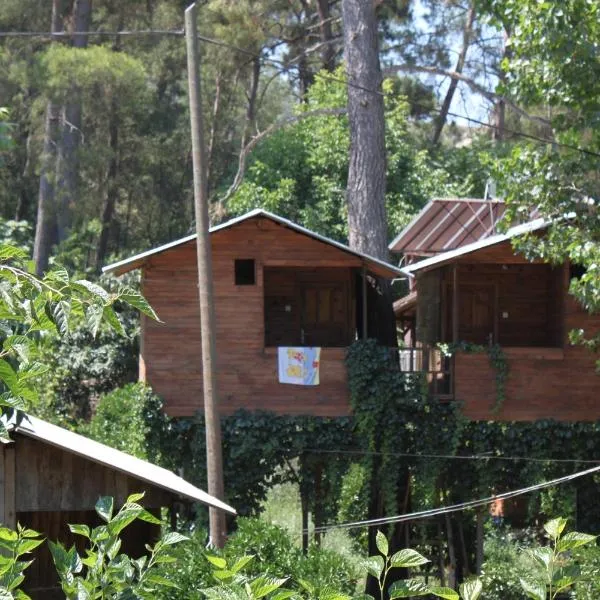 Olympos Camlik Pansiyon photo 5