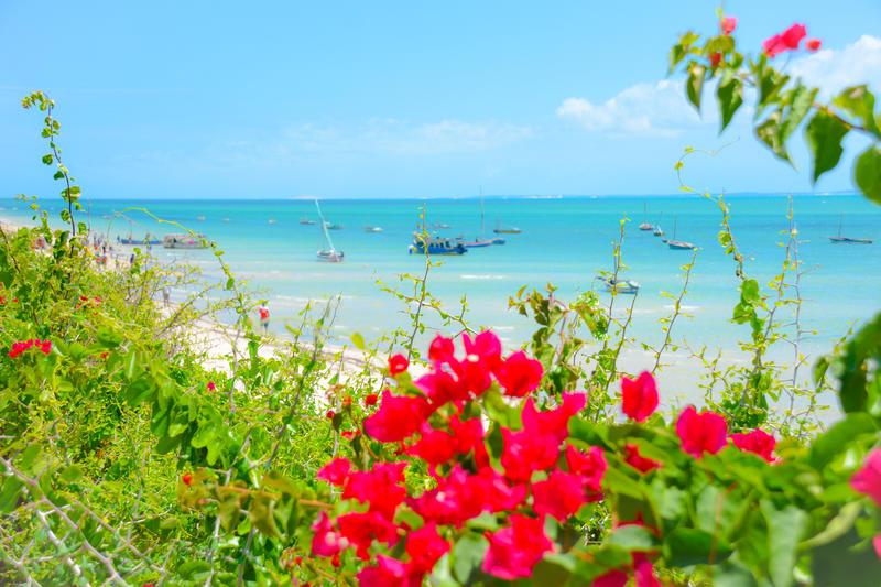 Baobab Beach Lodge and Backpackers photo 1