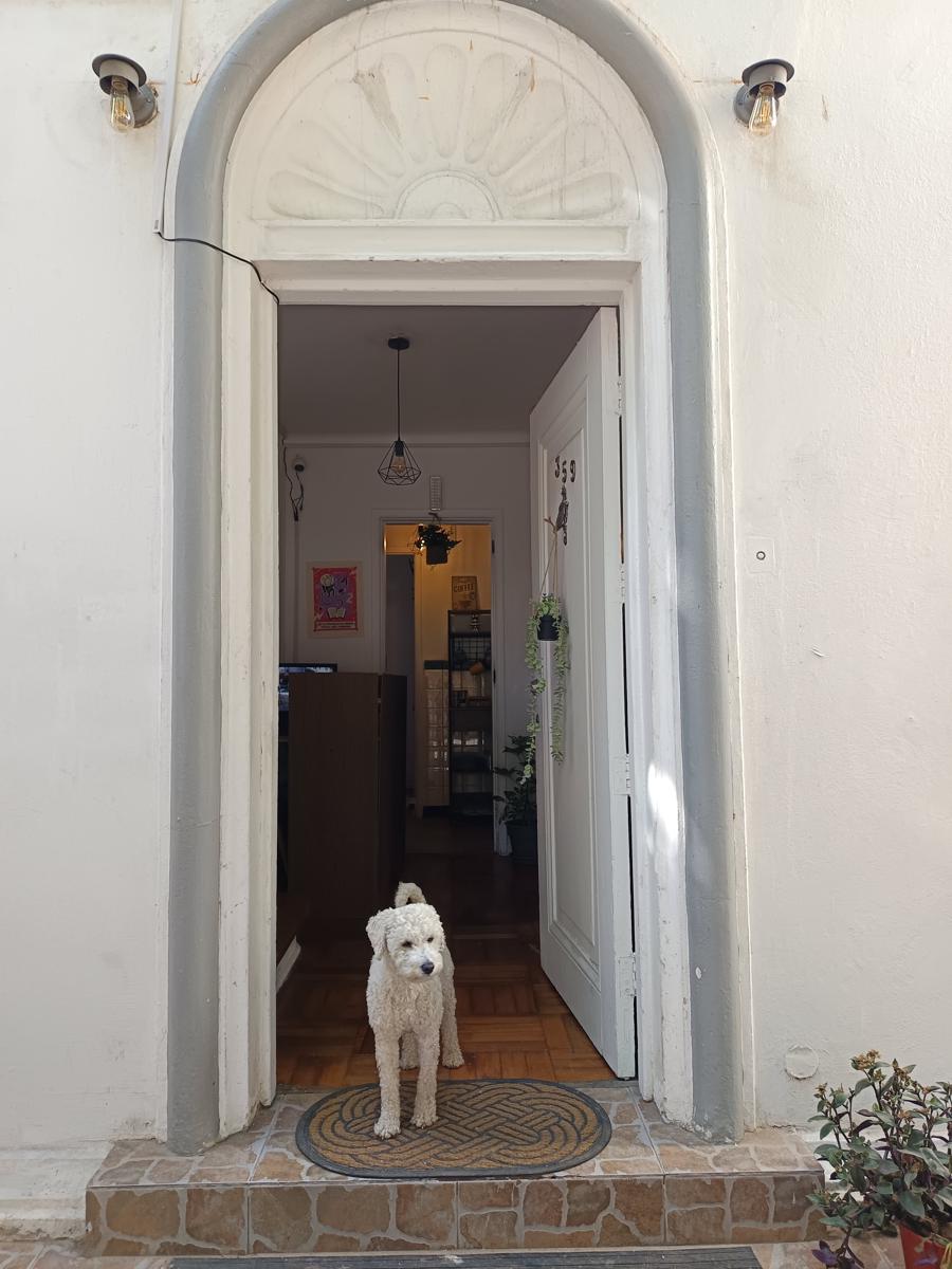 Casa Tribu photo 3