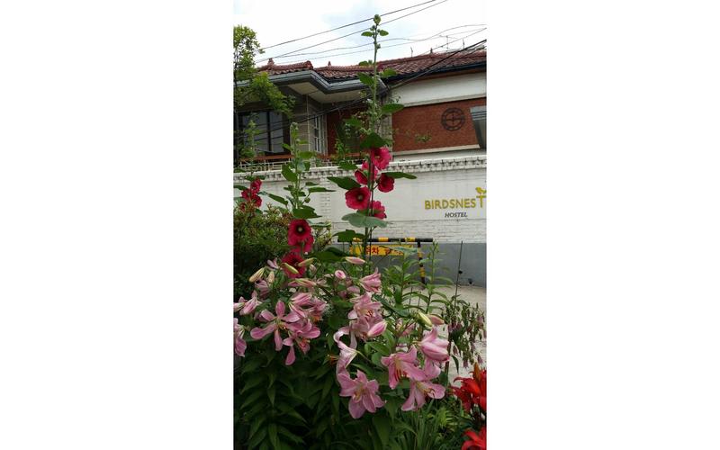 Hongdae Birdsnest Hostel photo 2