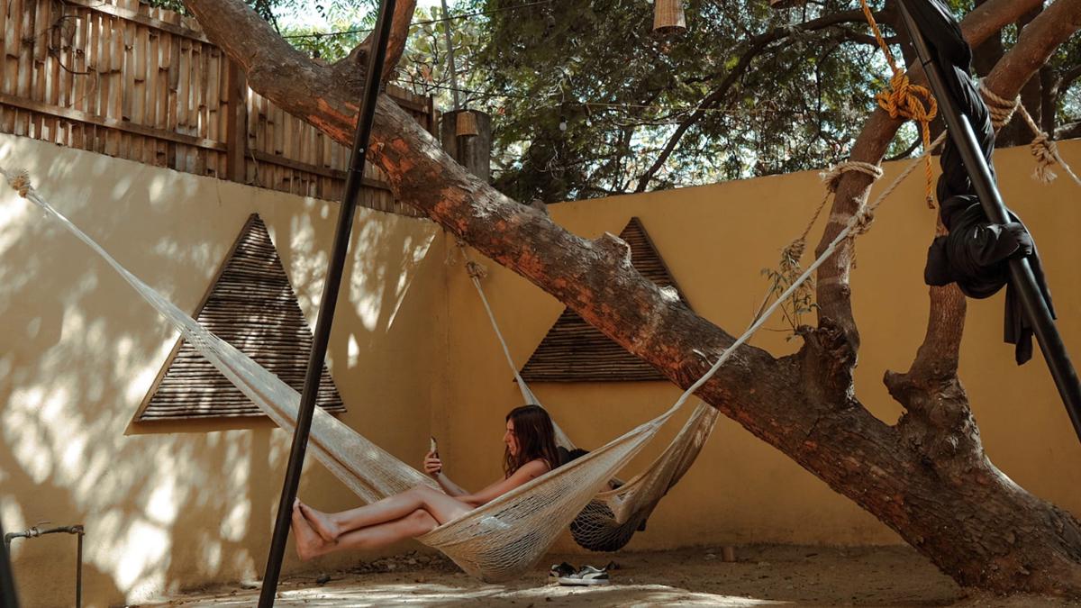 La Palmera Hostel photo 1