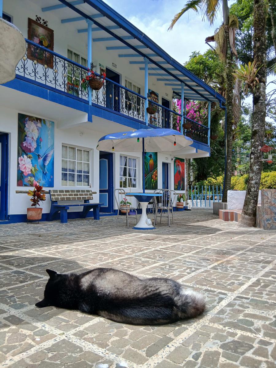 Vista farallones hostel photo 4