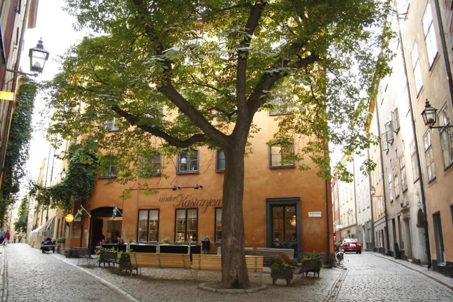 Castanea Old Town Hostel photo 1