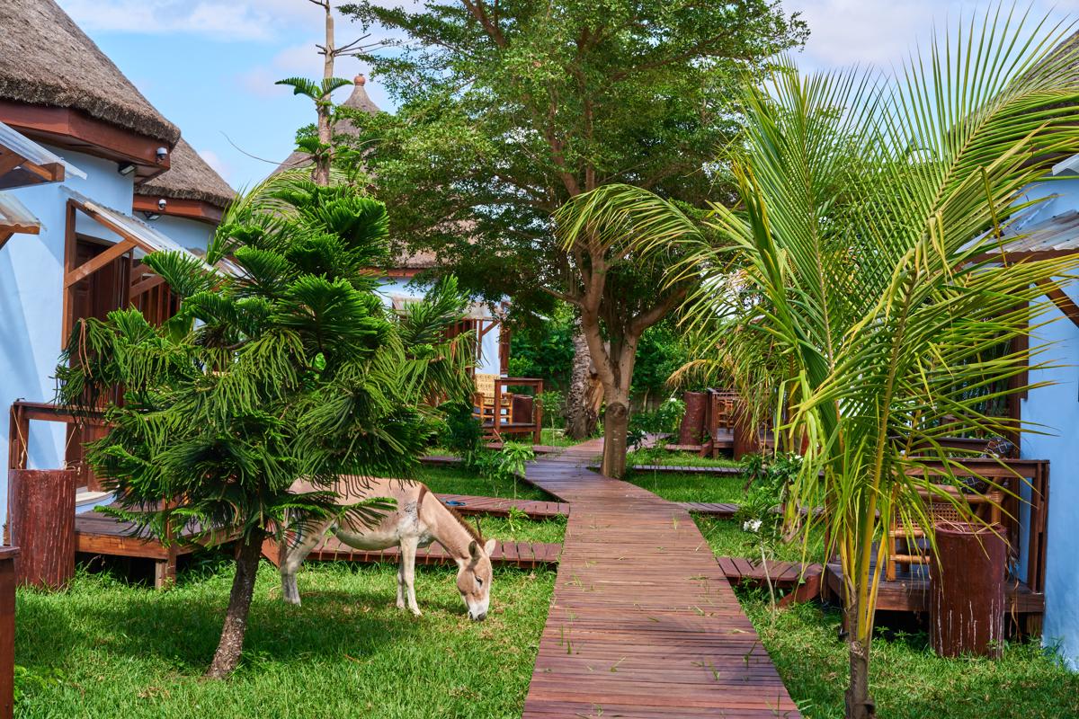 The Alkebulan Heritage Centre photo 3