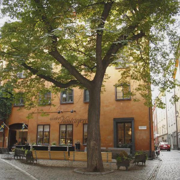 Castanea Old Town Hostel photo 5