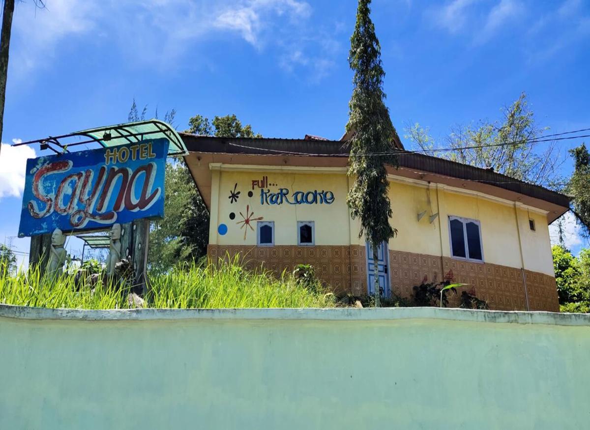 Hotel Sayna photo 2
