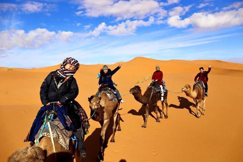 Desert Camel Trekking Camp photo 1