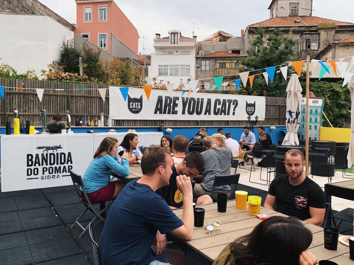 Cats Hostel Porto photo 1