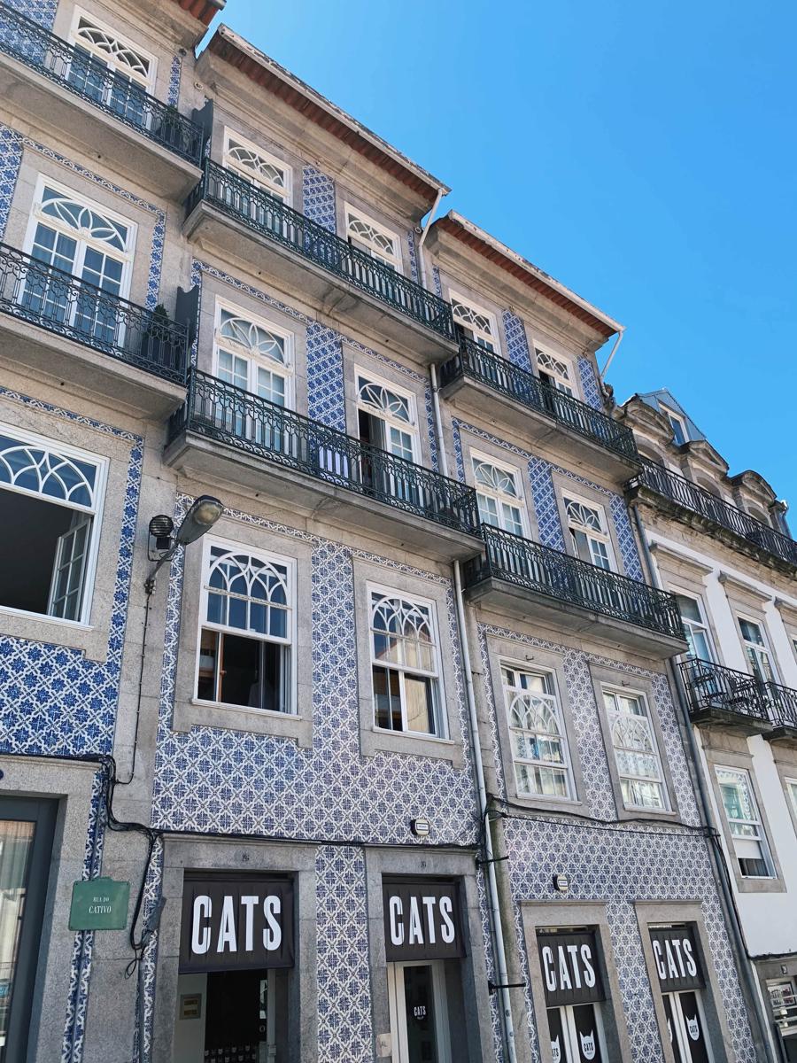 Cats Hostel Porto photo 4