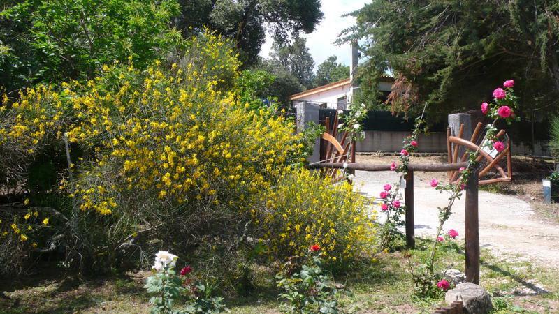 Casa Solotti photo 3