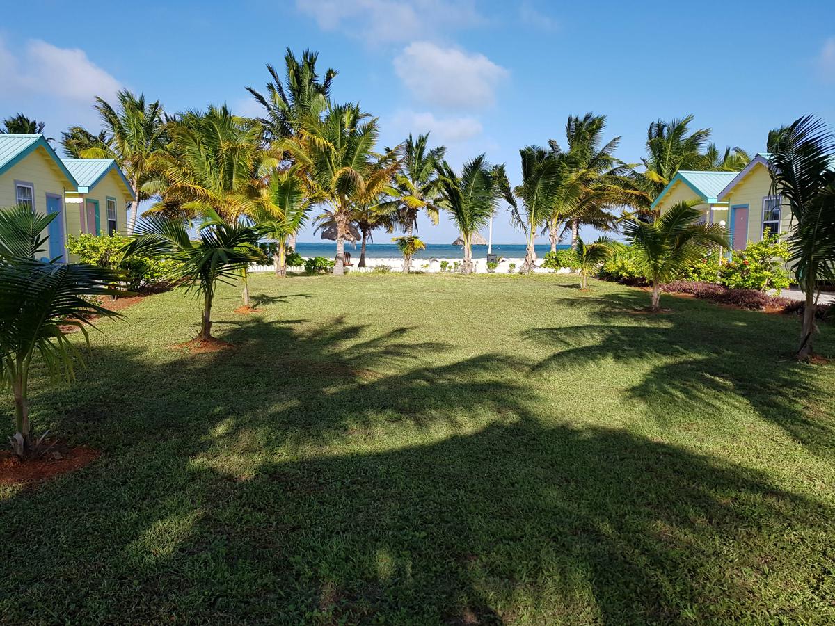 Royal Caribbean Resort photo 4