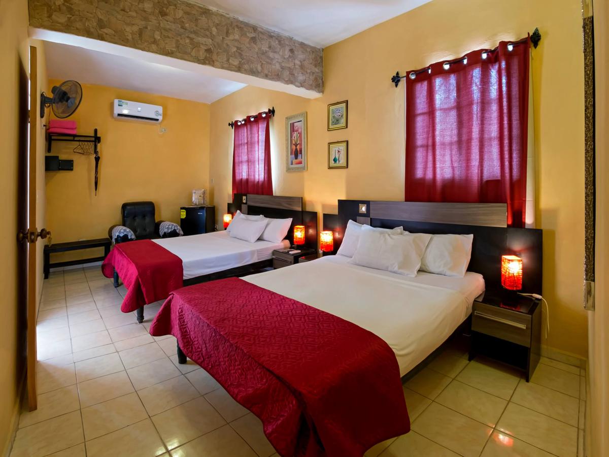 Hostal Casa El Ceramista photo 3