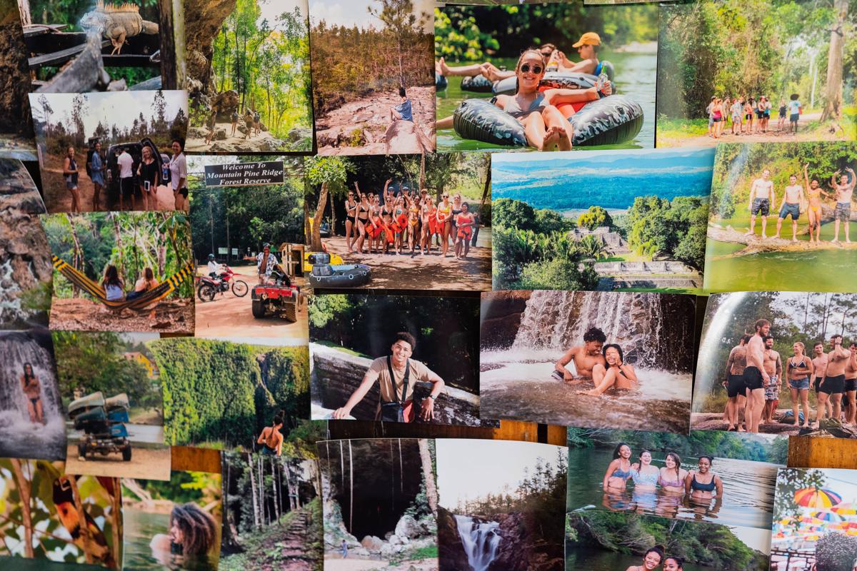 Bella's Backpackers photo 3