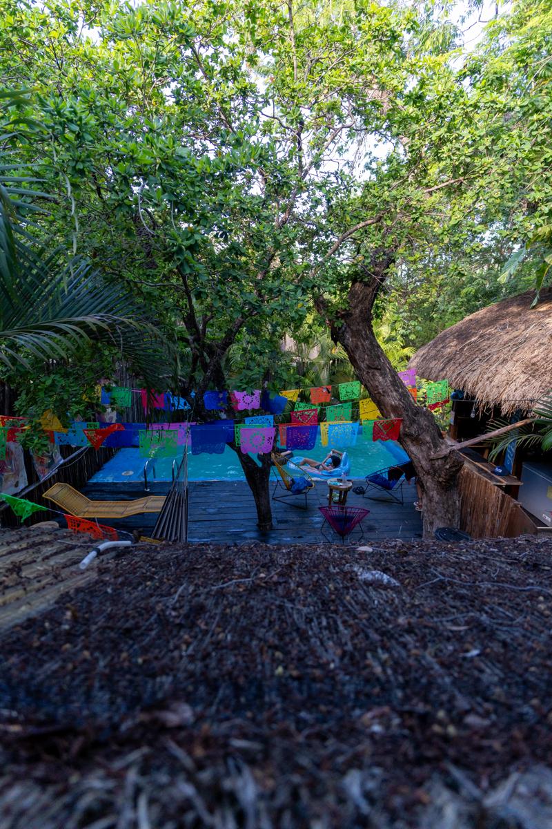 Maui Hostels Tulum photo 4
