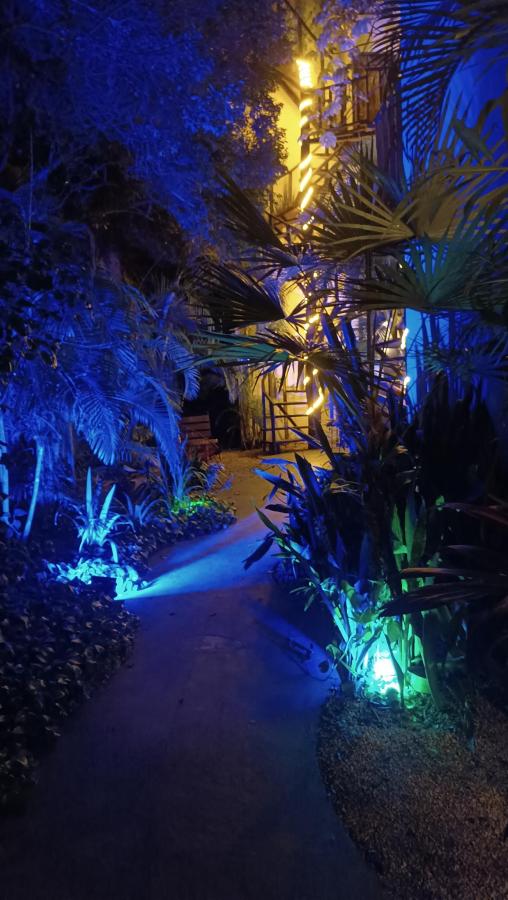 Maui Hostels Tulum photo 6