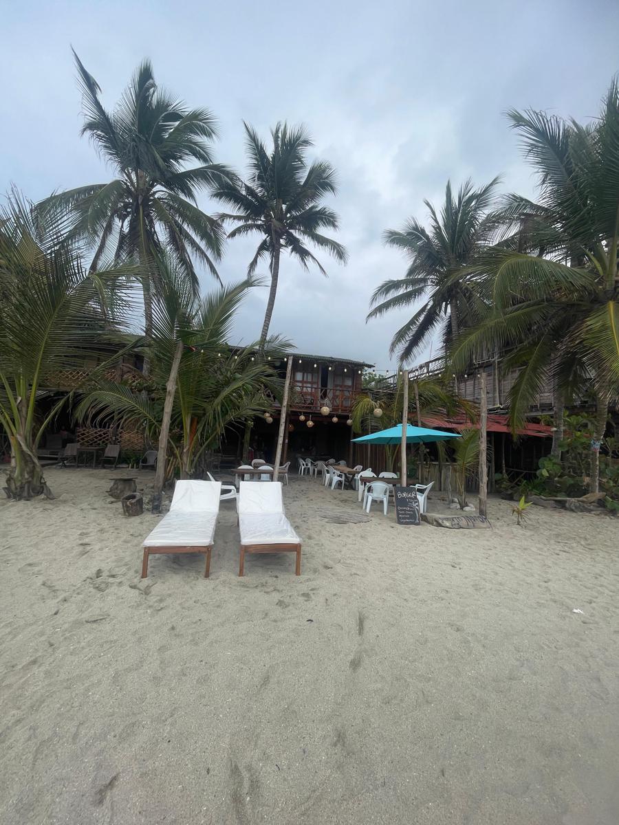 Puerto Manglar Hostal photo 4
