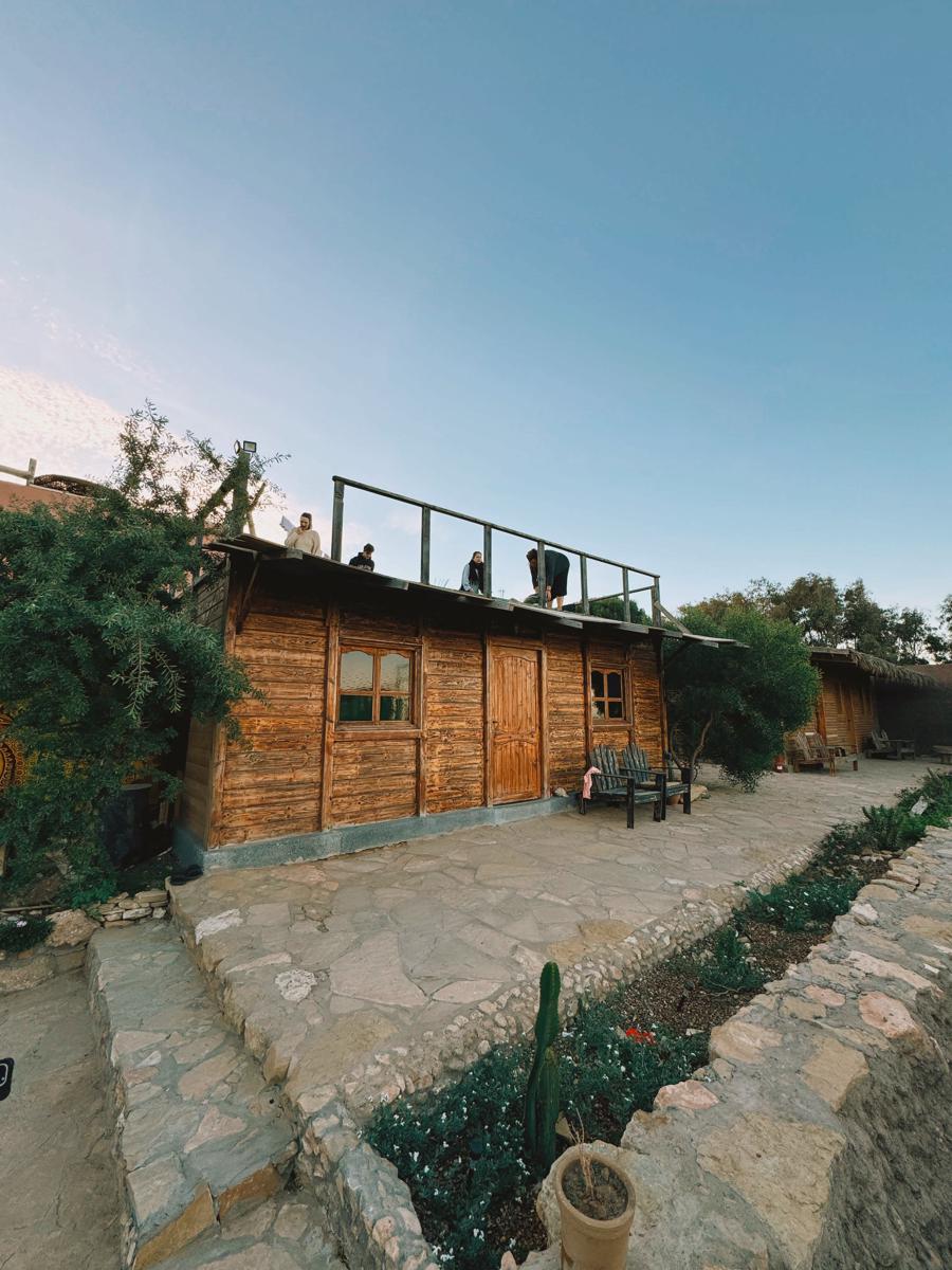 Wavego Surfcamp photo 3