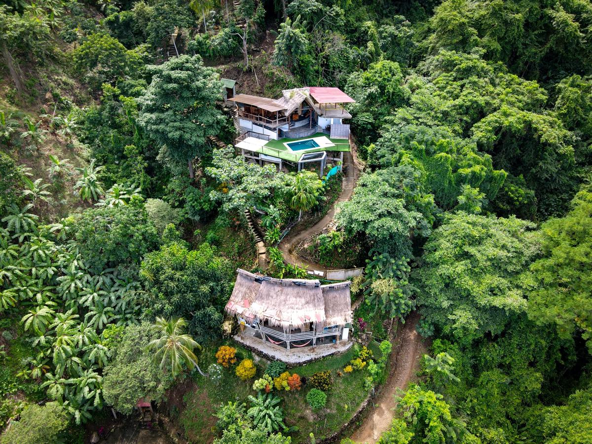 Niuwi Hostel photo 2