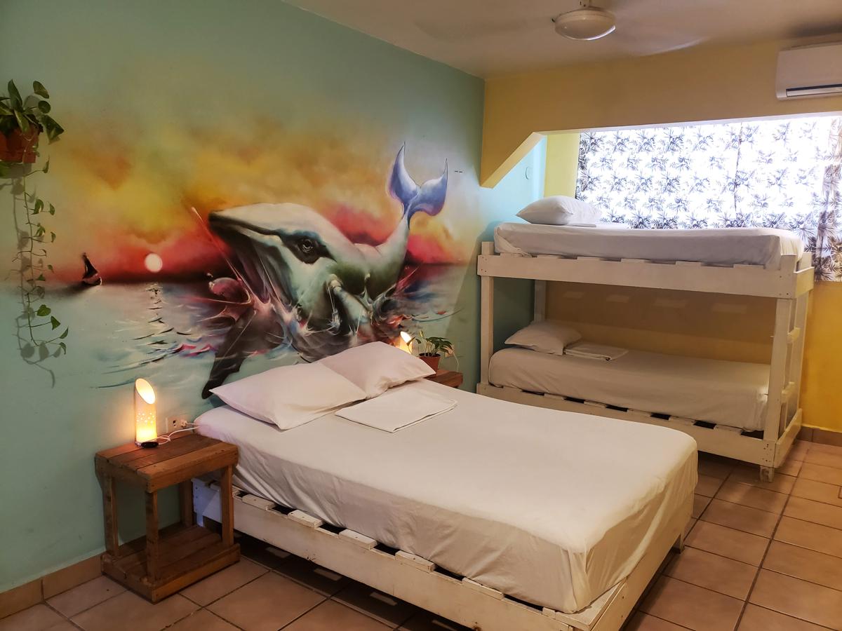 Tres Mundos Hostel photo 3