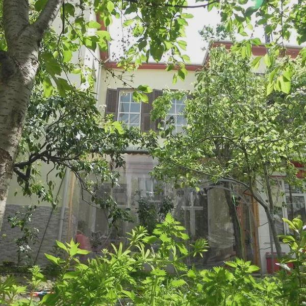 Lotus Garden Hostel Izmir photo 5