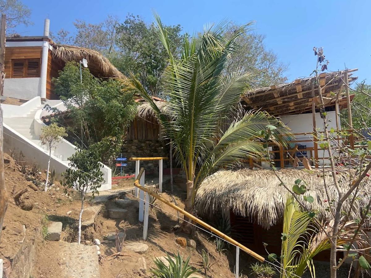 Aloevera Mixtli Zipolite photo 6