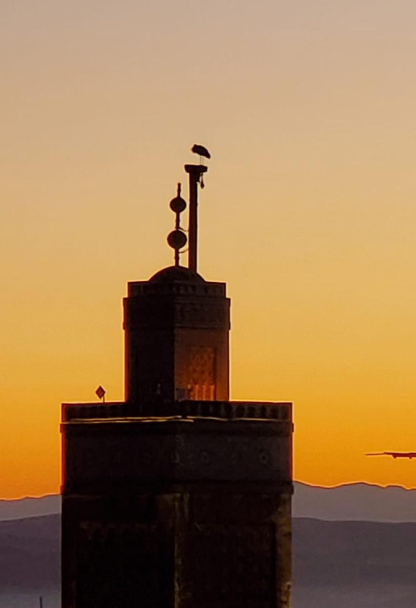 La Kasbah Salam photo 4