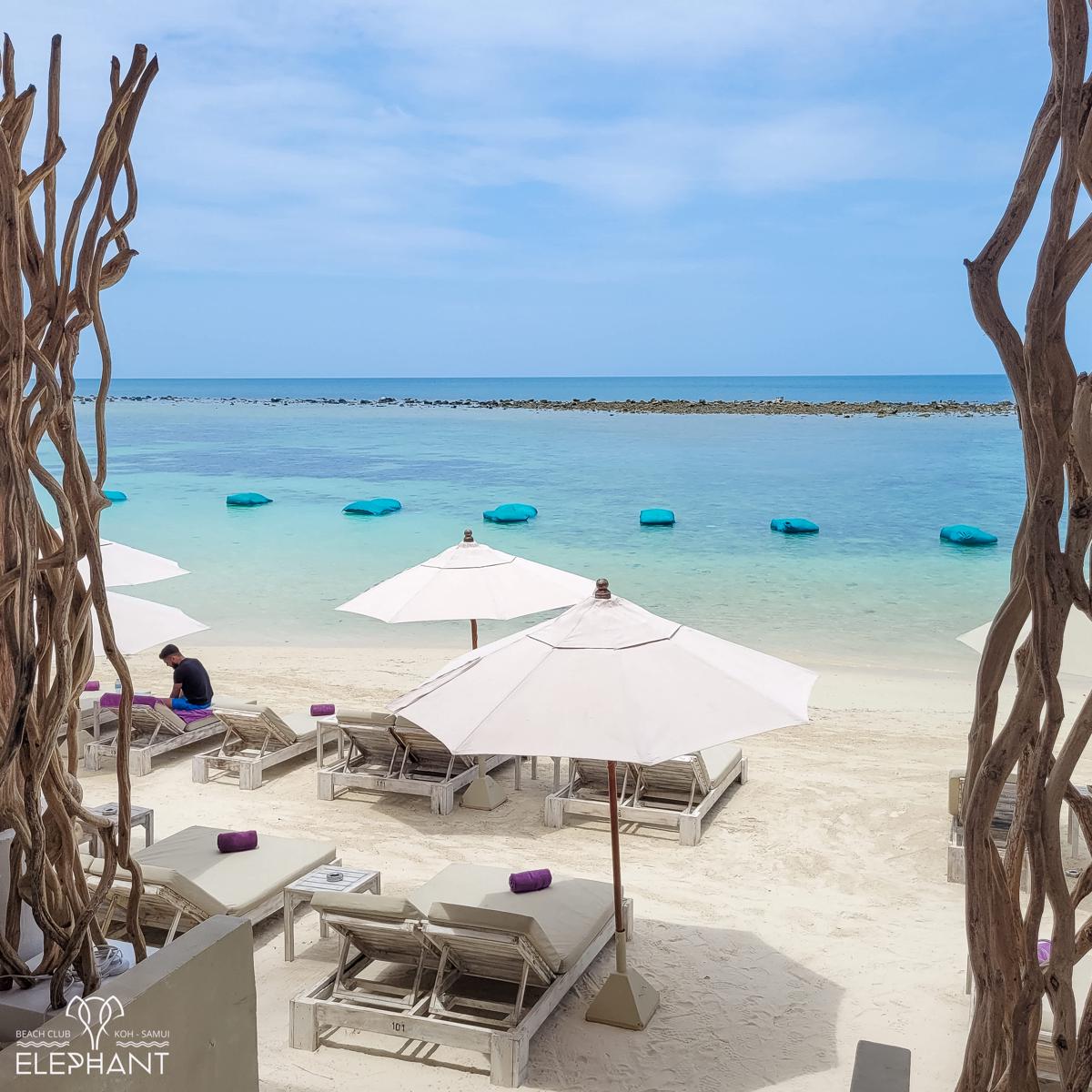 Elephant Beach Club & Resort Samui photo 4