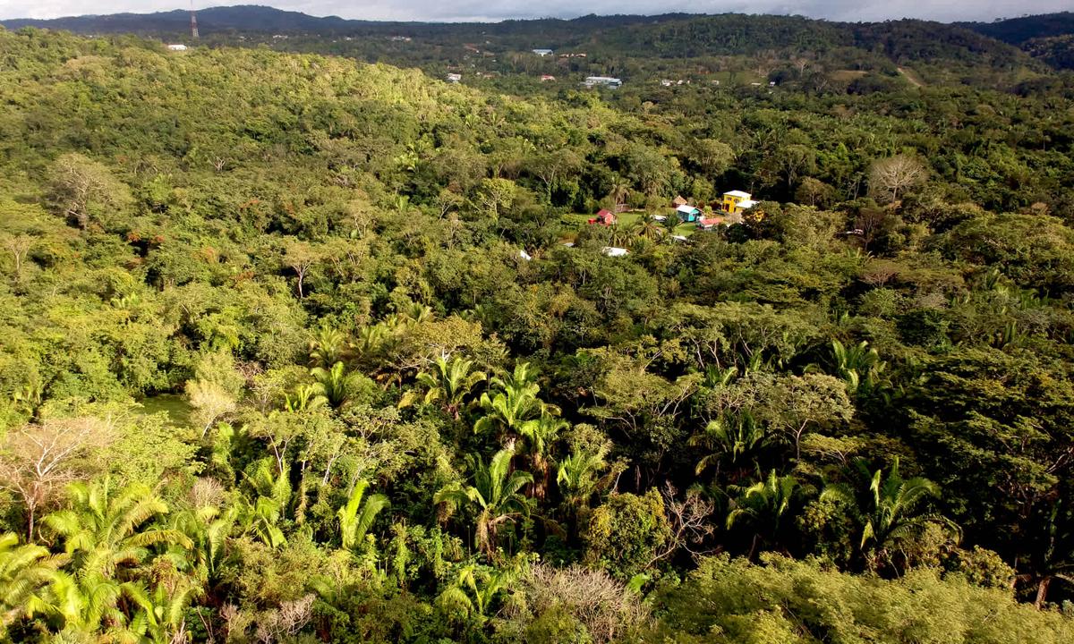 Lower Dover Jungle Lodge & Maya Ruins photo 1