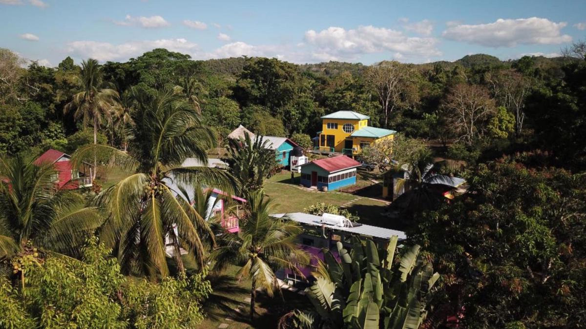 Lower Dover Jungle Lodge & Maya Ruins photo 2