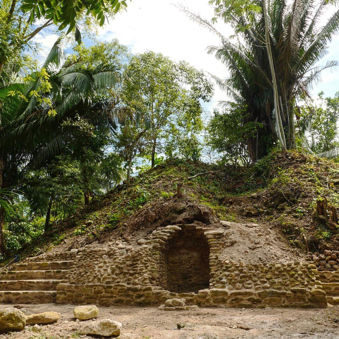 Lower Dover Jungle Lodge & Maya Ruins photo 4