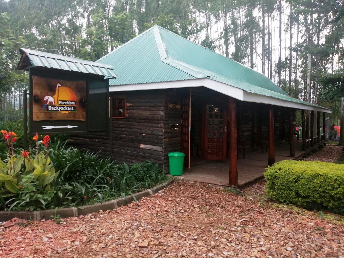 Murchison Backpackers photo 1