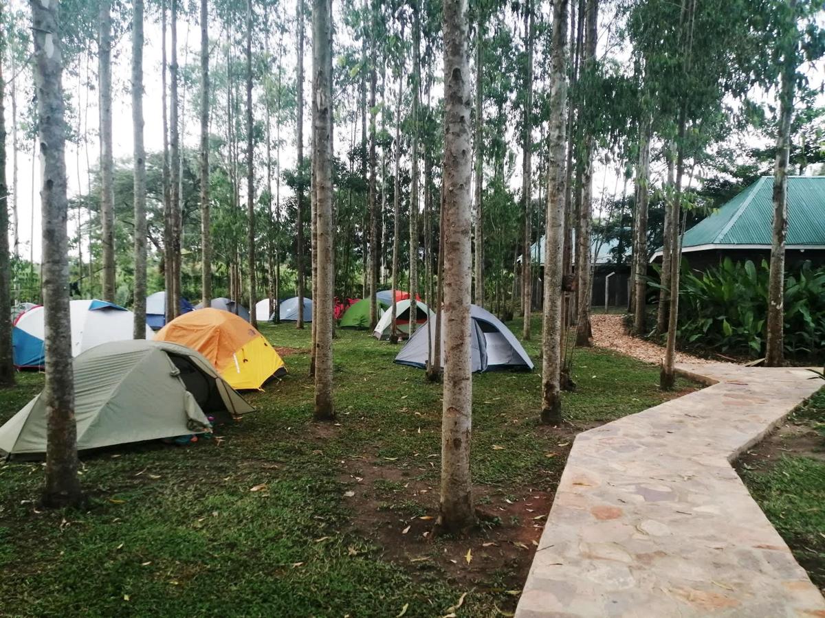 Murchison Backpackers photo 6