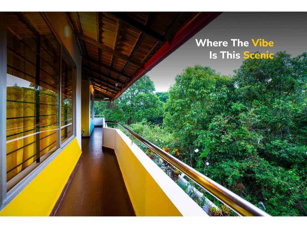 goSTOPS Coorg photo 3