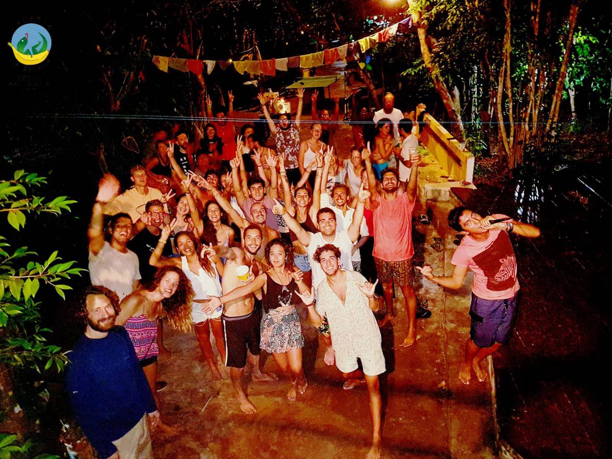 Lagarto na Banana photo 3