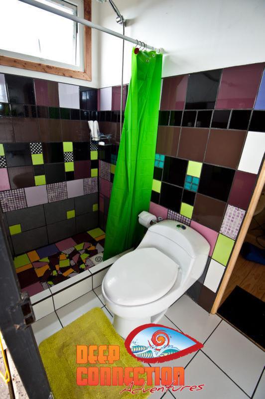 The Sirena Insolente Hostel photo 4