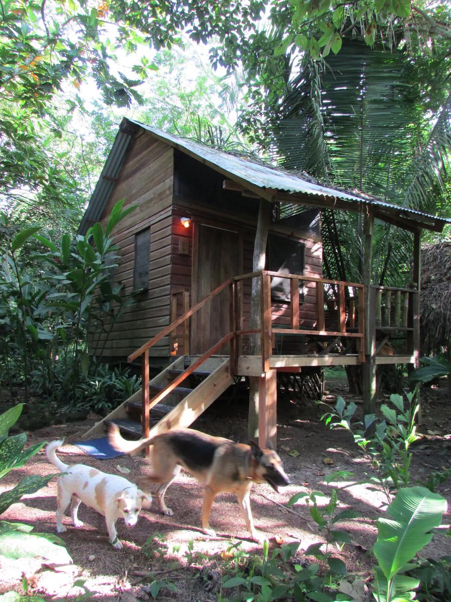 Parrot Nest Lodge photo 2