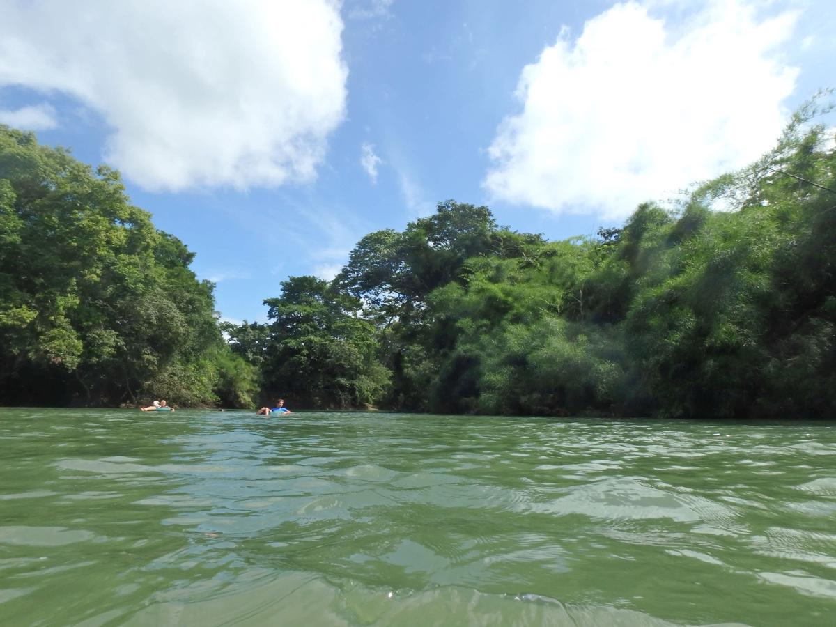 Parrot Nest Lodge photo 4