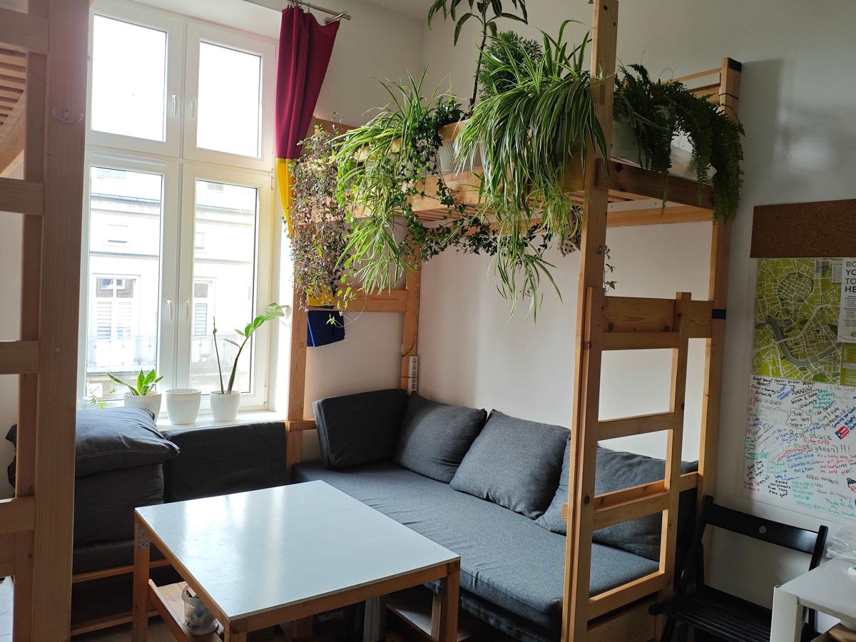 Evergreen Hostel Krakow photo 3
