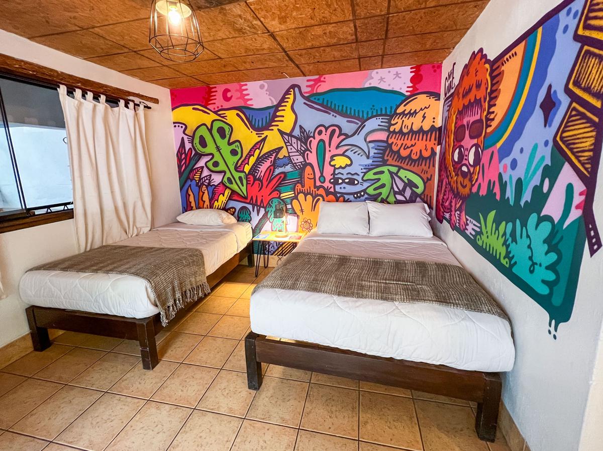 Supertramp Hostel photo 3