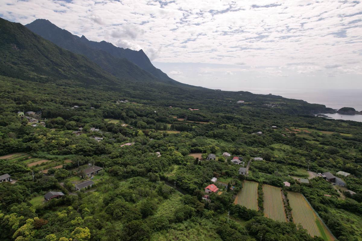 Årc yakushima photo 4