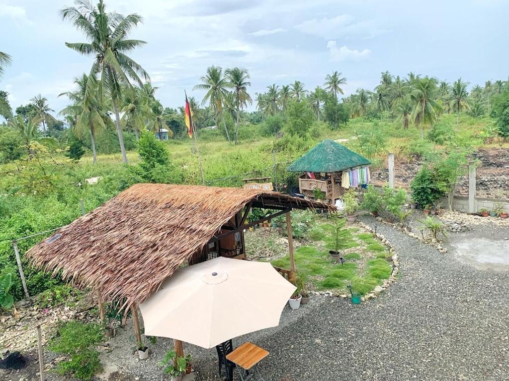 Coconut Inn Moalboal photo 4