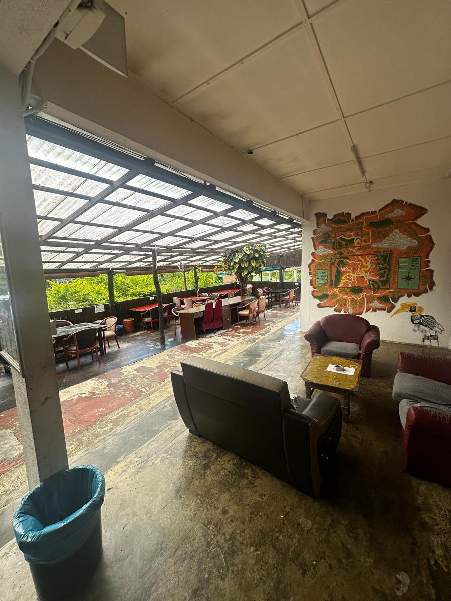 Jungle Ippie Hostel photo 1