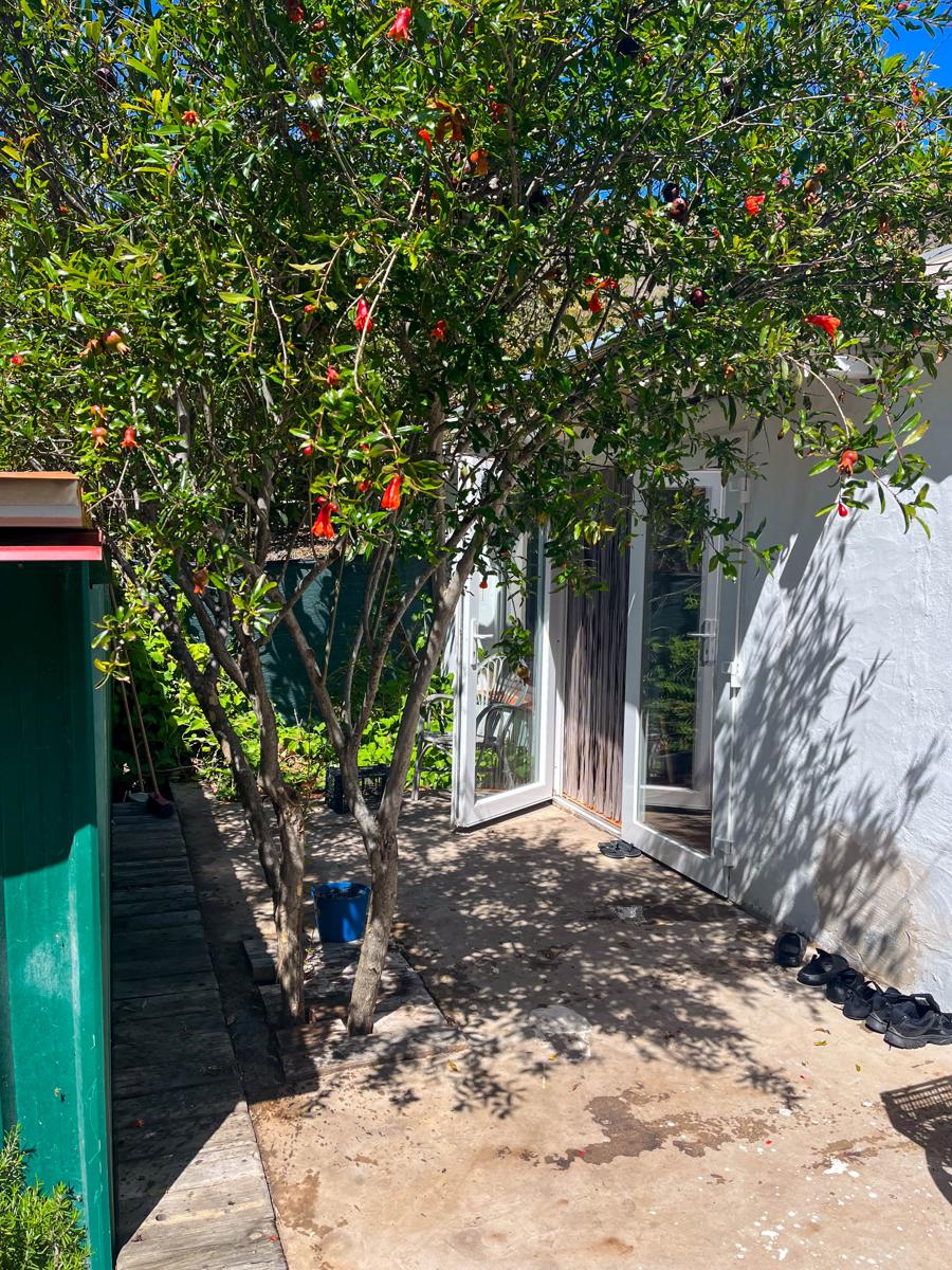 Eco Finca Mogán photo 2