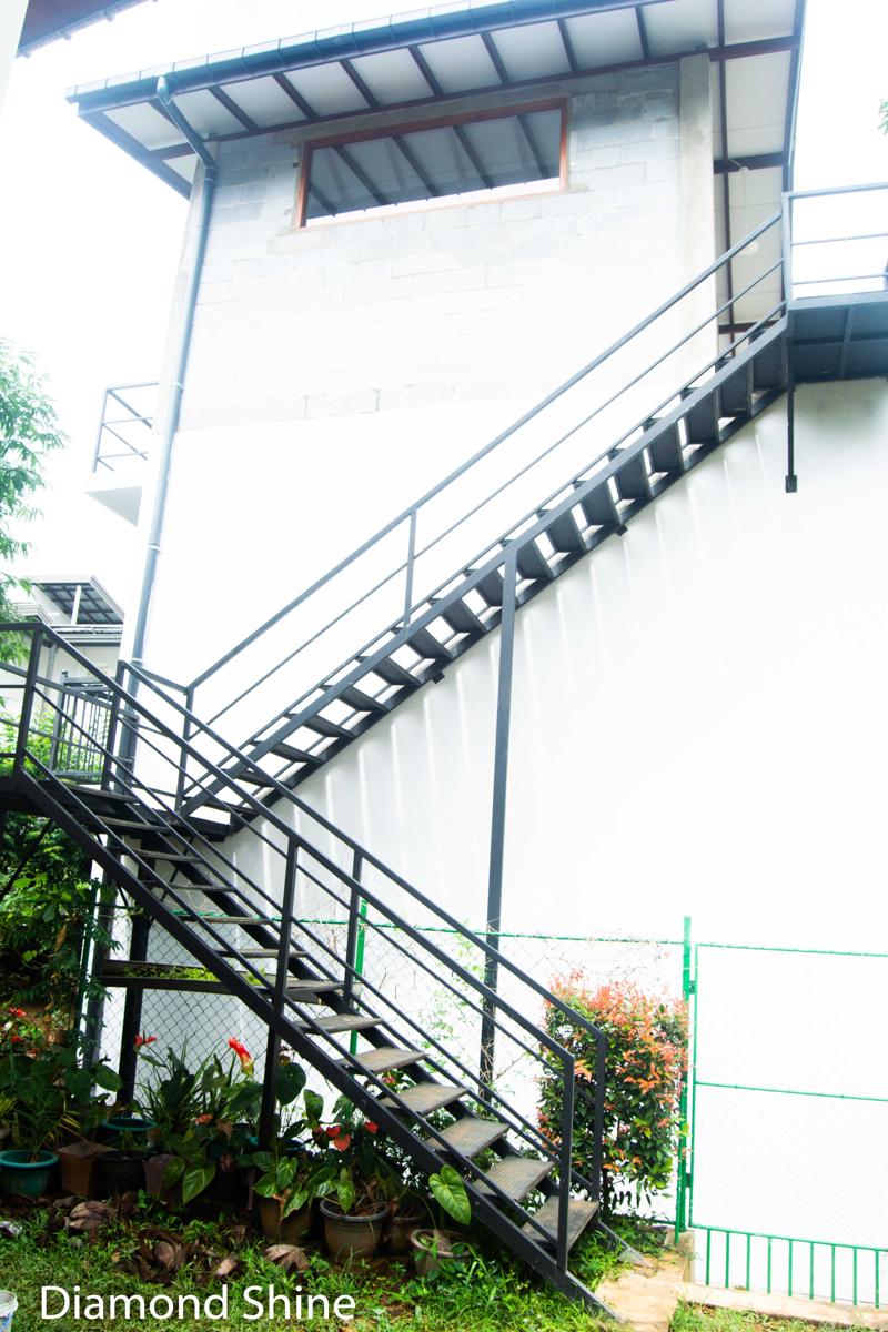 Diamond Shine photo 2