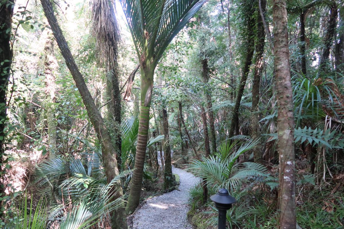 Te Nikau Retreat photo 5