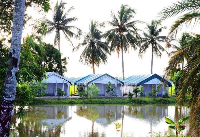 Bhitarkanika Jungle Resort photo 3