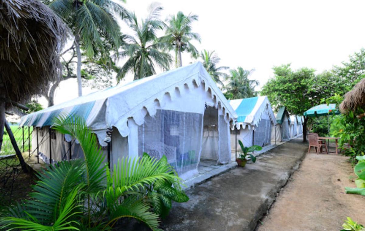 Bhitarkanika Jungle Resort photo 6