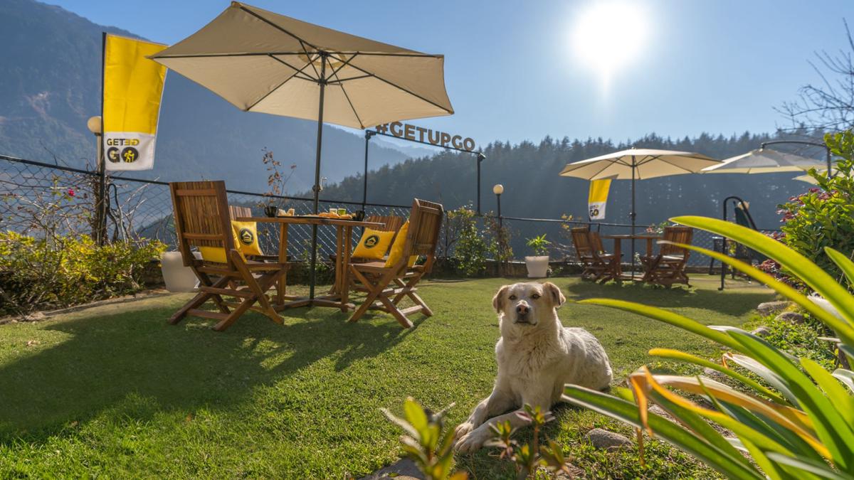 The Hosteller Manali, Old Manali photo 1