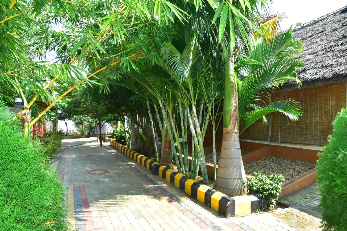 Megha Resort Hampi photo 4