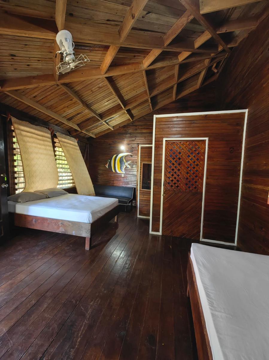 Lotos House photo 5